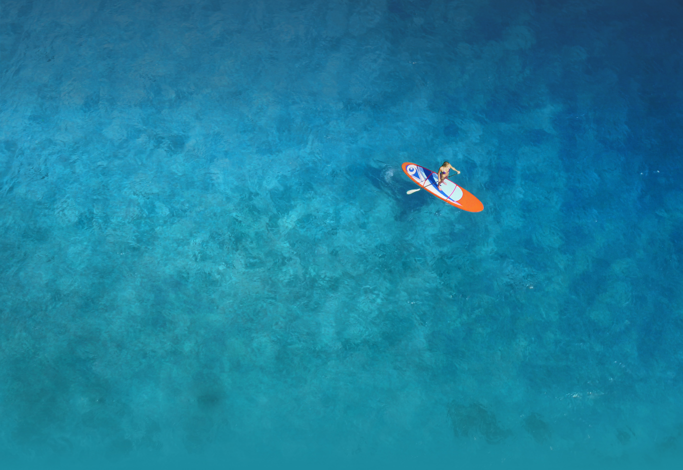 Man on surfboard in the middle of the ocean