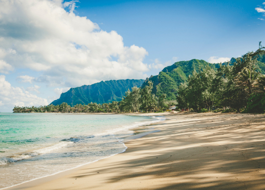 Beach view