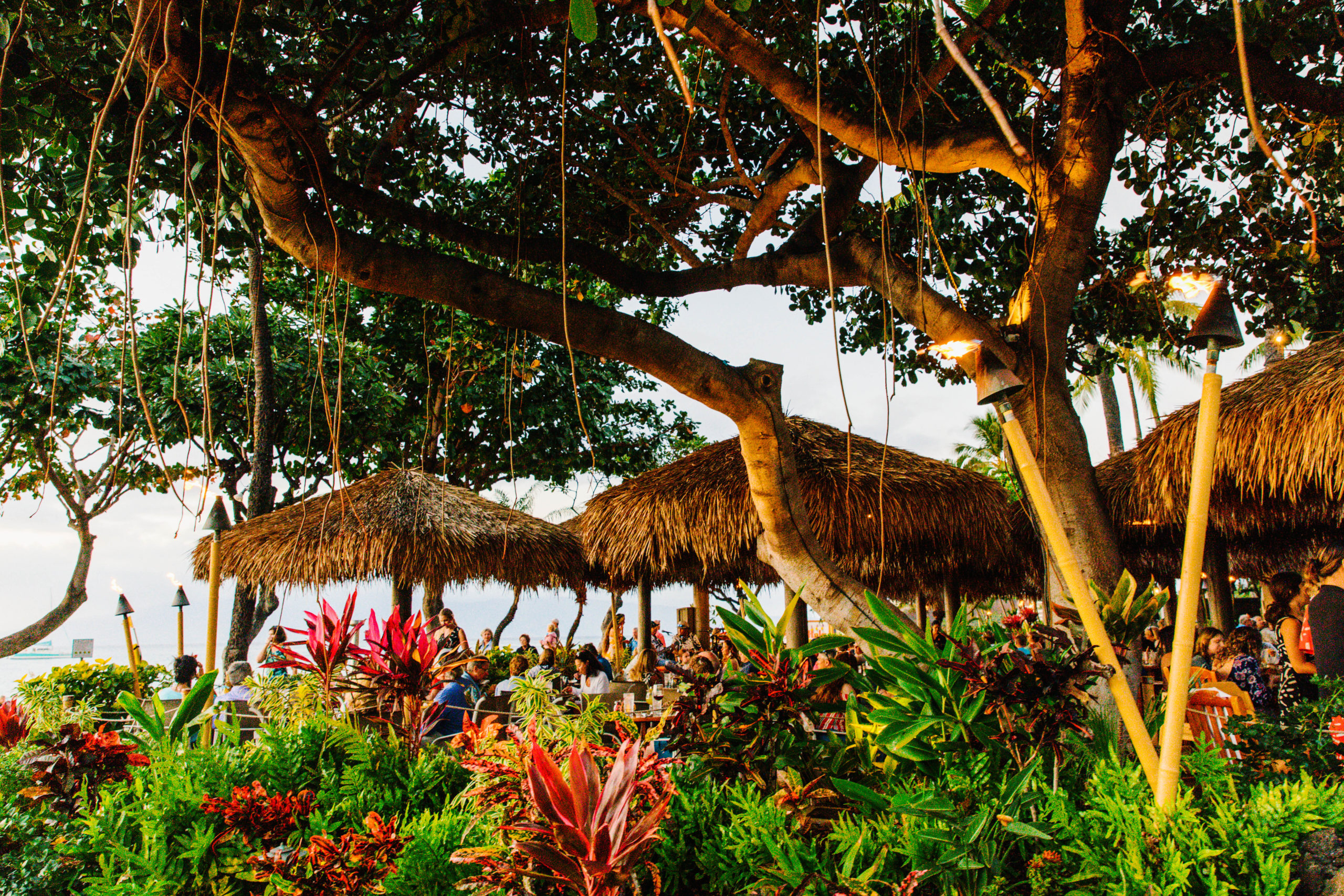 Scenic image of a restaurant in Hawaii